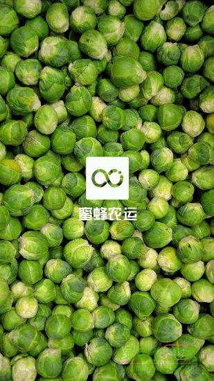 蜜蜂配送 v1.0.22 安卓版 0