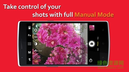 培根相機(Bacon Camera)3