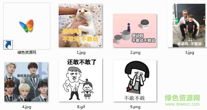 你感動么我不敢動表情 感不感動不敢動表情包