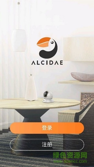 alcidae海雀ai全景攝像頭 v2.5.6 安卓版 0