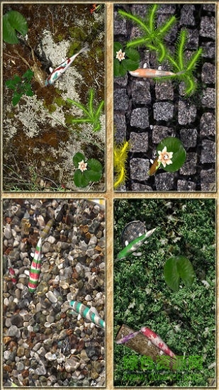 pocketpond2安卓 pocketpond2汉化版