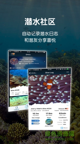 dive app dive +