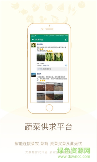 真甜農(nóng)服 v1.0 安卓版 0
