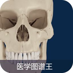 醫(yī)學(xué)圖譜王手機(jī)軟件