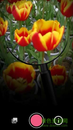 咔嚓一下 v2.0.13 安卓版 3