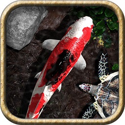 pocketpond2中文版