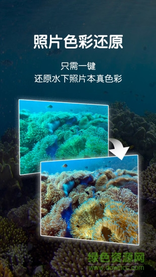 Dive+ v2.2.3 安卓版 1