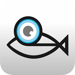 斑馬魚(yú)愛(ài)眼