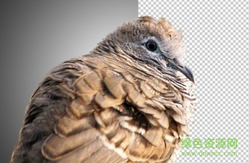 ps黑作坊插件（簡(jiǎn)易摳圖面板） 