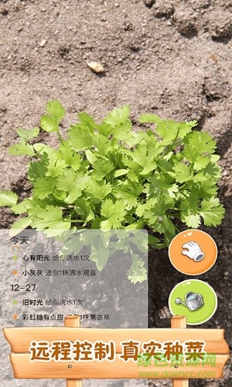 水滴農場游戲 v2.2.0 安卓版 1