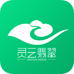 靈云導(dǎo)購版