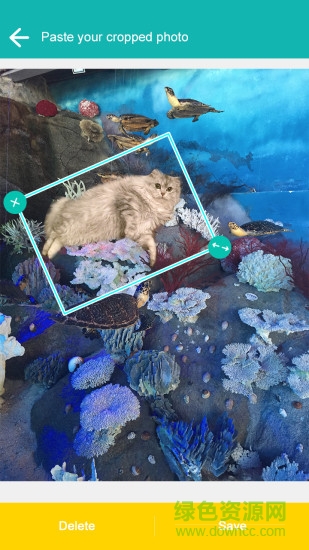 cut me out摳圖(飛力貓-摳圖神器) v3.4 安卓版 3