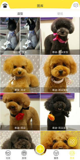 掌心寵物app下載