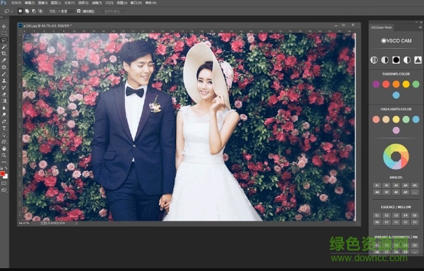 vsco cam濾鏡正式版(ps一鍵調(diào)色插件) 中文免費版_32/64位 0