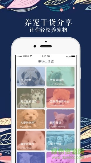 寵物生活館app 寵物生活館app下載