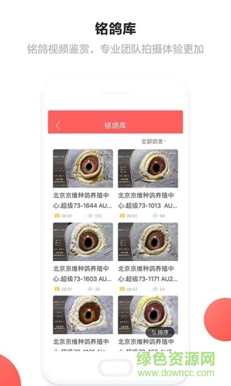 搜鴿查成績手機版 v1.0 安卓版 0