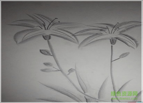 4一6年級線描圖片大全簡單漂亮 16張 0