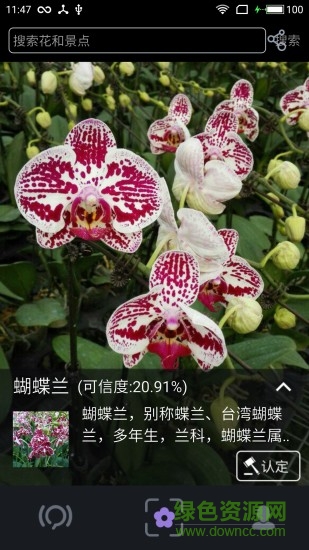 朝花夕識(shí)軟件 v1.1.4 安卓版 1