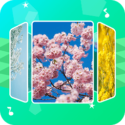 音樂相冊(cè)助手