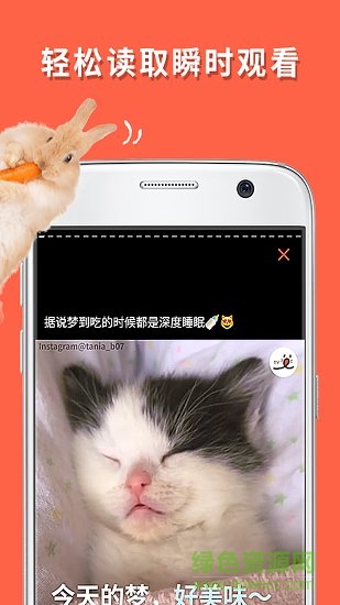 朋寵peco手機版 v1.0.0 安卓版 1