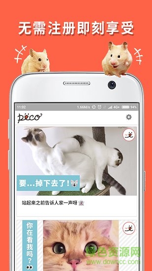 朋寵peco手機版 v1.0.0 安卓版 2