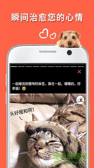 朋寵peco app下載