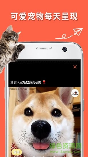 朋寵peco手機版 v1.0.0 安卓版 4