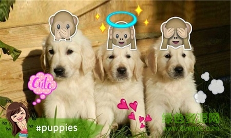 emoji表情相機(jī)app v2.4.1 安卓版 0