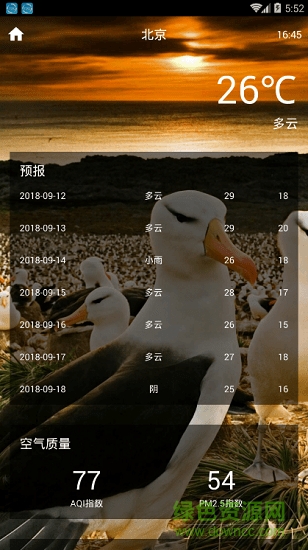 閃電虎天氣預(yù)報(bào) 閃電虎天氣預(yù)報(bào)app下載