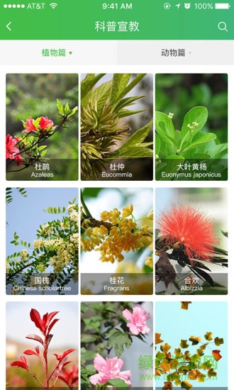 森林之旅app 森林之旅app