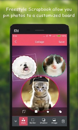 西瓜海報軟件 v2.0.6 安卓版 1