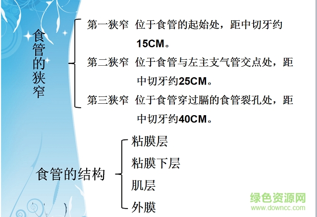 食管癌的護(hù)理查房ppt模板 食管癌的護(hù)理查房ppt