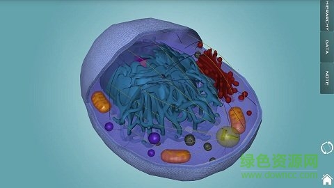 人體解剖學圖集app v3.15.2 安卓版 3