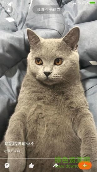 哈萌視頻app下載