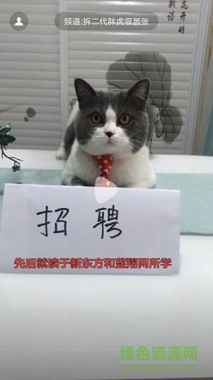 哈萌視頻 v1.0.0.15 安卓版 4