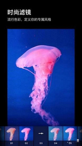 artist相機(jī) v1.1.0 安卓版 1