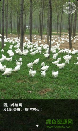 四川養(yǎng)殖 四川養(yǎng)殖app