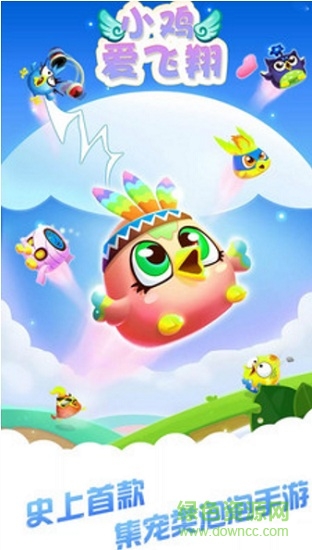 小雞愛飛翔萌寵大作戰(zhàn) v1.0 安卓版 0