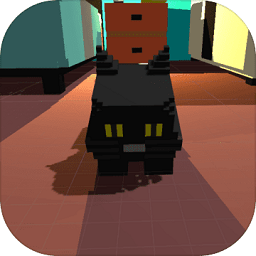 屬性與生活測試服