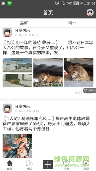 狗狗网 狗狗网app