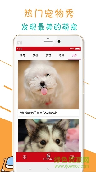 寵物狗狗百科 v1.0 安卓版 1