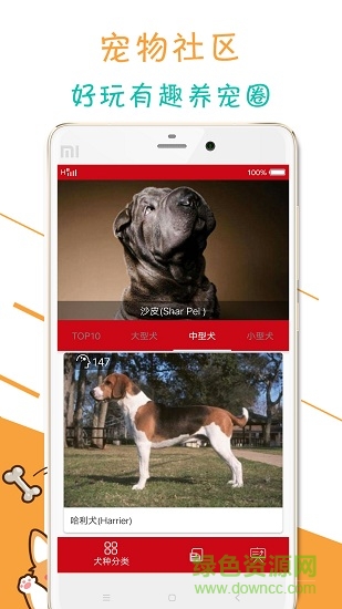 寵物狗狗百科app下載