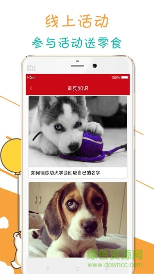 寵物狗狗百科 v1.0 安卓版 3