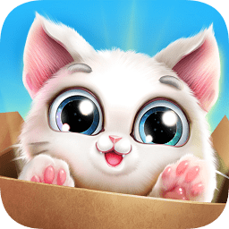 口袋貓咪游戲