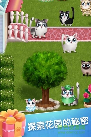 口袋貓咪內(nèi)購 v1.0.4 安卓無限金幣鉆石版 2