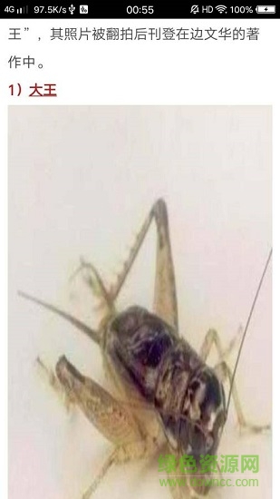 斗十四 v2.1.0 安卓版 2