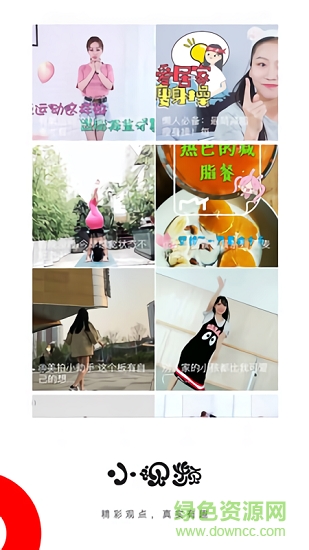 呆頭條 v1.0.1 安卓版 2