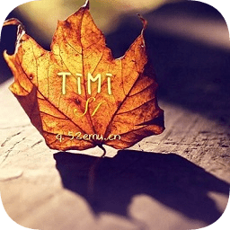 exagear軟心安裝器游戲