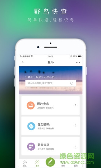 爱鸟手机版 爱鸟app