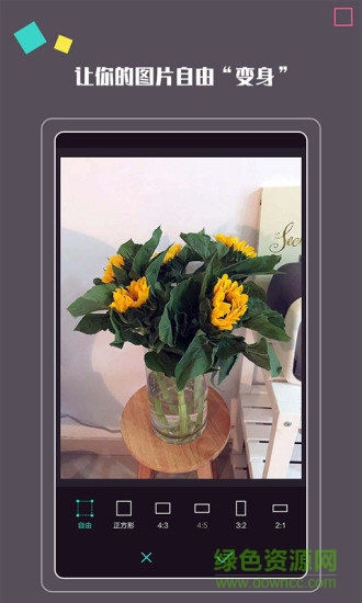 拍照大咖手機(jī)版 v1.2.1 安卓版 3